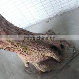 Home &garden Ornament Artificial Camellia Tree With Flowers Decoration thumbnail-5