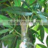 Home Garden Creepers Decoration 180cm Height Artificial Green Pachira Aquatica Tree EFCS05 2901 thumbnail-2