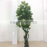 SJZJN 109 High Quality Aritificial Rubber Fruit Tree Made in China Fashion Artificial Tree thumbnail-6