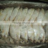 Katti Fish thumbnail-1