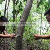 Bushcraft Equipment Chain Saw Banboo Saw Model#DJCS Camp Saw Wood Saw thumbnail-5