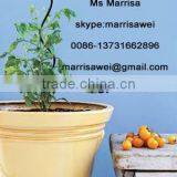 Plant Growing Spirals Factory