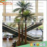 2015 Hot Sale Outdoor Large Fake Plastic Palm Tree Plants and Artificial Palm Tree Decorative