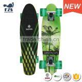 HSJ245 Manufacturers Wholesale Direct Small Fish Board Children Adult Skateboard Brush Street Step Maple Skateboard thumbnail-2