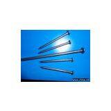 Common Iron Nails thumbnail-1