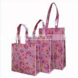 Non-woven Shopping Bag