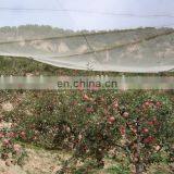 Vineyard Plastic Hail Protection Net Against Hail/50gsm Anti Hail Net/hail Mesh Screen for Plantations thumbnail-2