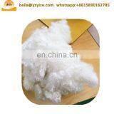 Polyester Fiber Recycled Aluminum Silicate Fiber Cotton Fiber Yarn for Sale thumbnail-5