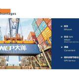 Tianjin Neptune International Logistics Co.,ltd company overview - view 1 thumbnail