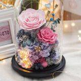 Dandelion Music Box