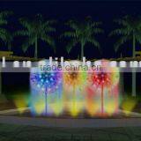 Music Fountain Built in Pool