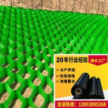 TGGS100-400 Perforated Honeycomb Geogrid Mixed Retaining Wall for Stabilizing Highway Subgrade thumbnail-4