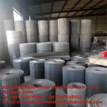 STAINLESS STEEL WELDED MESH/FENCE FOR ANNIMAL/GALVANIZED-WELDED WIRE thumbnail-4