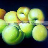 stil life fruit Artwork Excellent Handmade oil painting ct-103