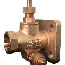 Drain Valve With Sampler for Oil Immersed Transformer American Type