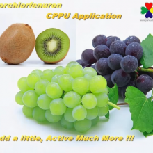 Plant Hormone Cppu Forchlorfenuron 1%sp for Grape thumbnail-2