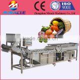 Competetive Price Air Bubble Cherry Tomoto Washing Machine by High Pressure/ Fruits Washer Price thumbnail-1