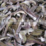 Factory Supply Organic Dried White Boletus Mushroom thumbnail-2