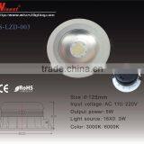 COB LED DOWNLIGHT LED DOWN LIGHTING