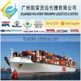 Door to Door Sea Freight From China to USA DDU Shipping thumbnail-1