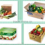 Volume Large,profit Small Corrugated Carton Box for Fruit and Vegetable thumbnail-2