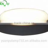 Low Price Popular Ceiling Lamp for Room thumbnail-1