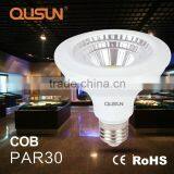 CE ROHS COB Par30 LED Par Light Spot Lights Led thumbnail-1