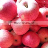 New Crop Fresh Red Shanxi Qinguan Apples Import From China