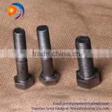 Pro high quality bolt and nut