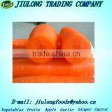 Local Fresh Natural Carrot Seeds thumbnail-1