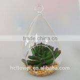 High Quality Imitation Plant thumbnail-1