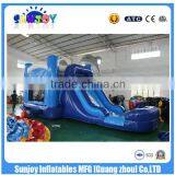 Hot Commercial Grade Cheap Dolphin Water Slide ,28ft Castle Slide thumbnail-1