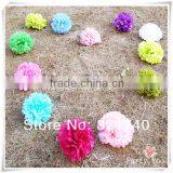 2016 Chinese New Year Tissue Paper Pompom Maker