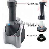 ICE CREAM MAKER Fruit