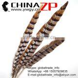 ZPDECOR Wholesale Top Selling Raw 45-50cm Size Reeves Venery Pheasant Tail Feathers for Decorations thumbnail-5