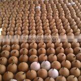 Fireworks Pyrotechnics Shell Machine thumbnail-3