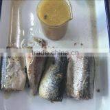 Wholesale Top Quality Canned Mackerel Best OEM thumbnail-4