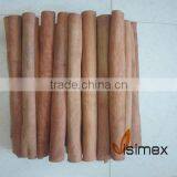 Finger Cassia (Cigarette Cassia/ Cassia Verra) thumbnail-1