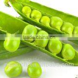 Dried Green Pea thumbnail-2