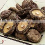 Natural Dry Shiitake Mushroom Bulk Dried Oyster Mushroom thumbnail-2