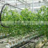Truss Shape Trellising Hot Dipped Galvaniazed Cultivating Shelf Used in Greenhouse thumbnail-2