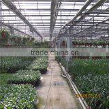 Multi Span Green House With Climate Control and Cooling Pads thumbnail-2