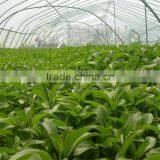 Better Industry Herbal Medicine Extractor On Sale thumbnail-4