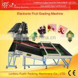 Apple Sorting Machine thumbnail-1
