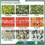 Fruit and Vegetables Dehydration Line thumbnail-5