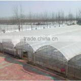 Factory Supply PVC Greenhouse Tent for Sale thumbnail-2