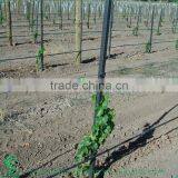 Living Wall Support Stake thumbnail-3