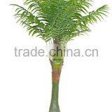 Cheap Artificial Bonsai Tree Artificial Areca Palm thumbnail-4