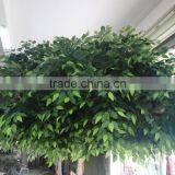 4M Artificial Ficus Tree With PE Leaves thumbnail-3