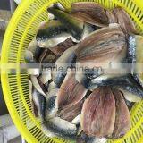 Frozen Sardine Fillets ,double Fillets /skin on Boneless PBO thumbnail-3